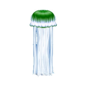 Green Striped Jellyfish